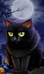Spooky Halloween
